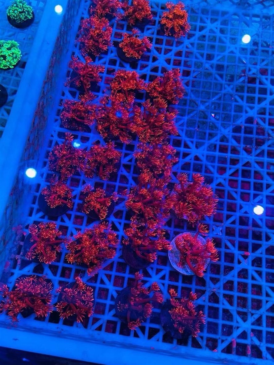 長治市城區家輝魚具店