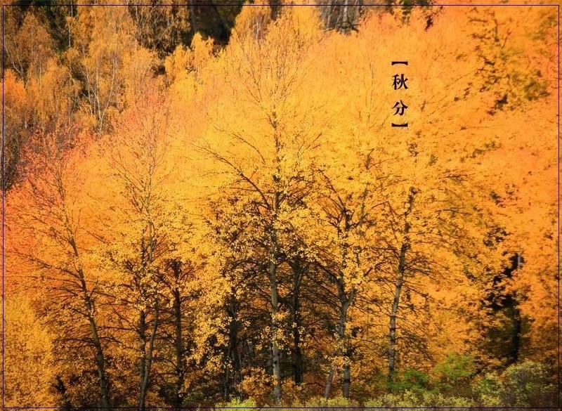 立秋到了