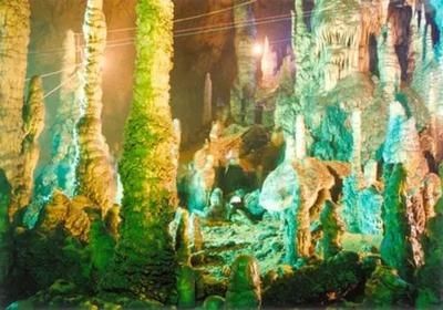 漢中水族館vs祥龍魚場（漢中水族館與祥龍魚場各有其特色和優勢）