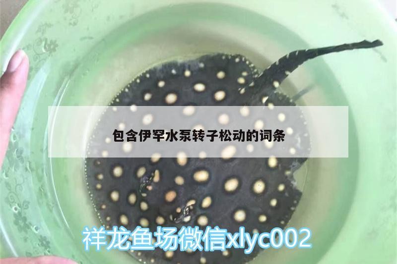 包含伊罕水泵轉(zhuǎn)子松動(dòng)的詞條