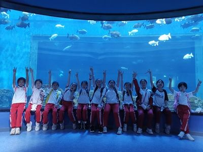 九江水族館vs祥龍魚場（九江水族館與祥龍魚場之前，我們需要明確兩者的主要業務和特點）