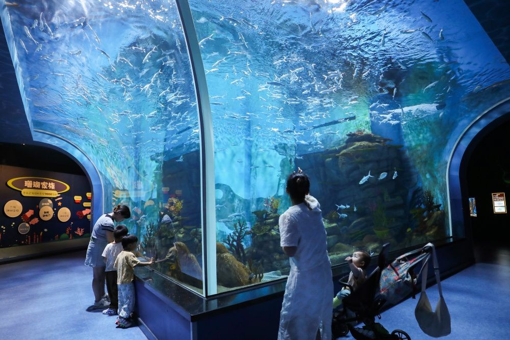 九江水族館vs祥龍魚場（九江水族館與祥龍魚場之前，我們需要明確兩者的主要業務和特點）