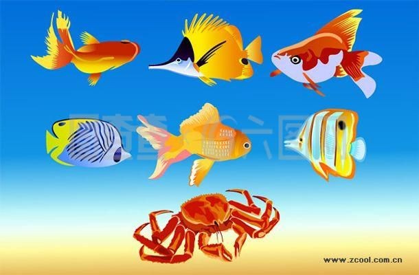 觀賞魚的軟件有哪些（觀賞魚養(yǎng)護秘籍）