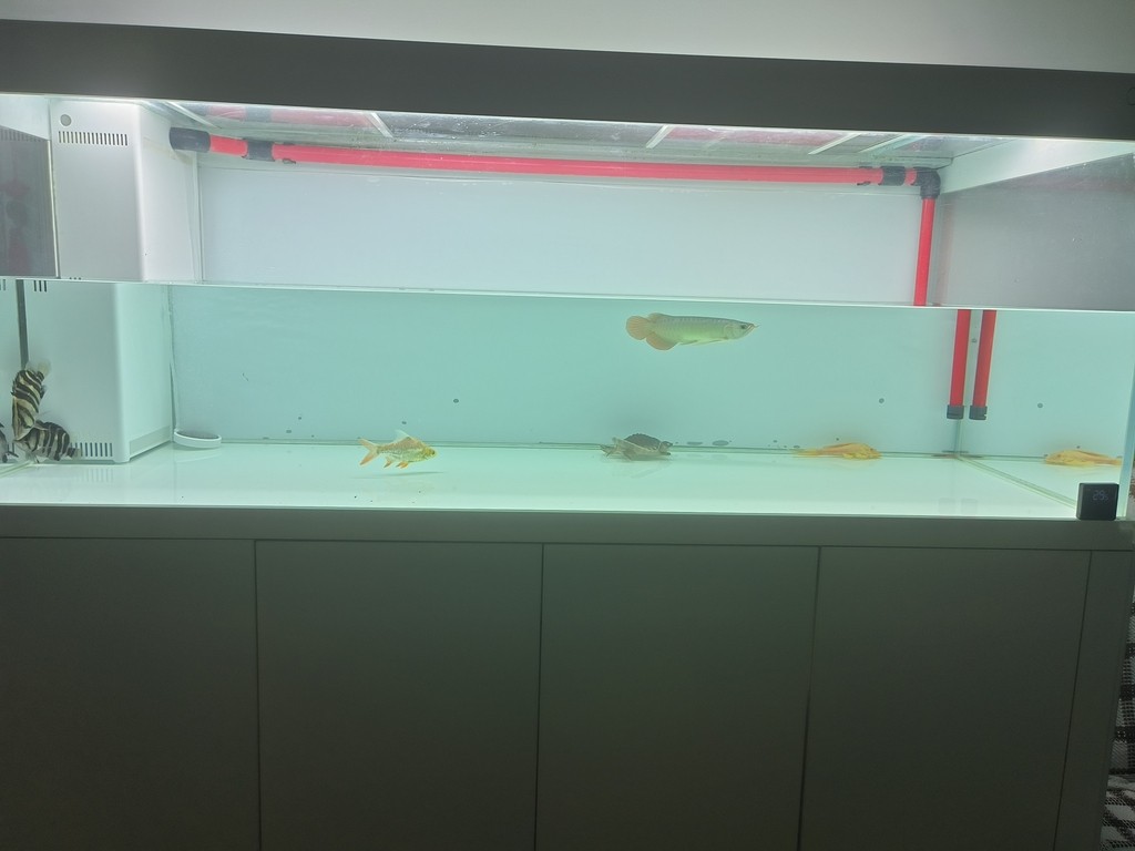 半水第二天，調節好流量。困水缸注水