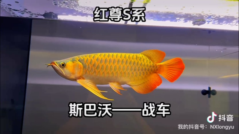 斯巴沃戰車