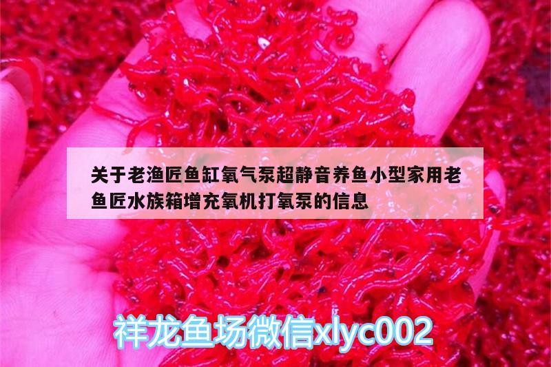 關(guān)于老漁匠魚缸氧氣泵超靜音養(yǎng)魚小型家用老魚匠水族箱增充氧機(jī)打氧泵的信息