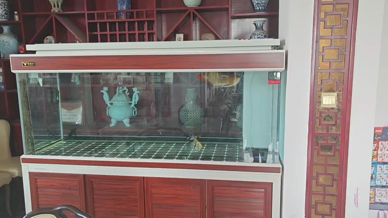 圈選龍魚換水記錄[ciya]