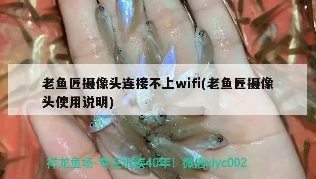 老魚(yú)匠攝像頭連接不上wifi(老魚(yú)匠攝像頭使用說(shuō)明)