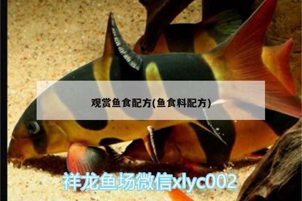海里魚類大全：海里魚類大全圖片