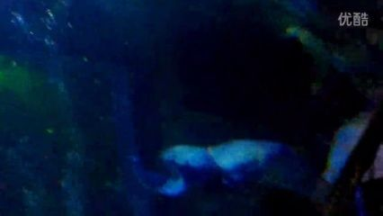 晉城水族館vs祥龍魚場（山西晉城水族館和祥龍魚場可能涉及以下幾個方面）