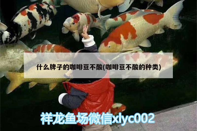 什么牌子的咖啡豆不酸(咖啡豆不酸的種類(lèi))