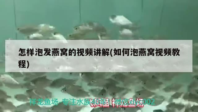 魚缸上面漏水怎么辦小妙招(魚缸上面漏水怎么辦小妙招視頻)