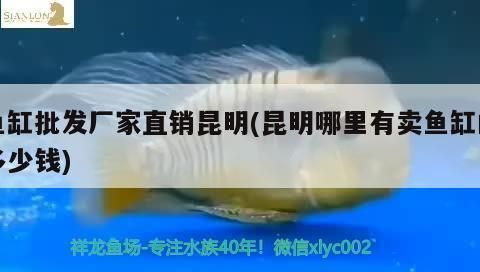 龍魚查詢真偽網站vs祥龍魚場：—龍魚查詢真偽網站和祥龍魚場在龍魚鑒定服務方面的優劣
