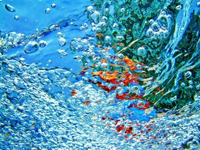 觀賞龍魚多少錢一條：觀賞龍魚多少錢一條啊
