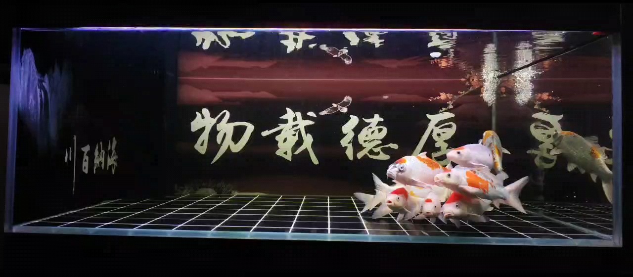 空氣缸