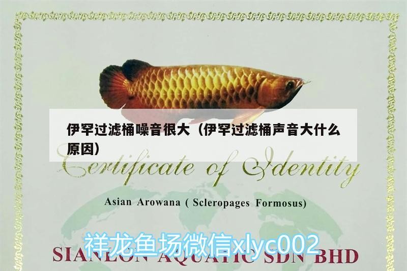 伊罕過濾桶噪音很大（伊罕過濾桶聲音大什么原因）
