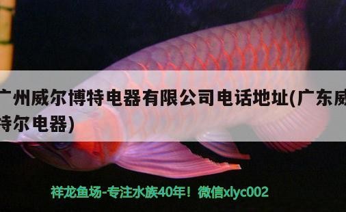 廣州威爾博特電器有限公司電話地址(廣東威特爾電器)