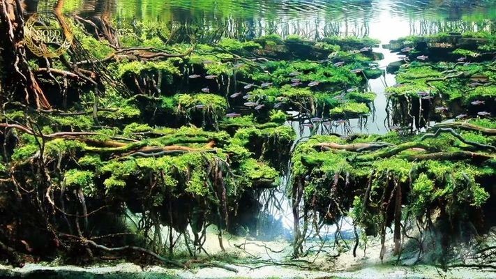 老魚匠加熱棒出現(xiàn)故障怎么排除（老魚匠加熱棒出現(xiàn)故障怎么排除e6）