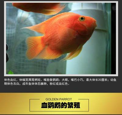 工作一直不順中了什么邪：工作一直不順中了什么邪知乎