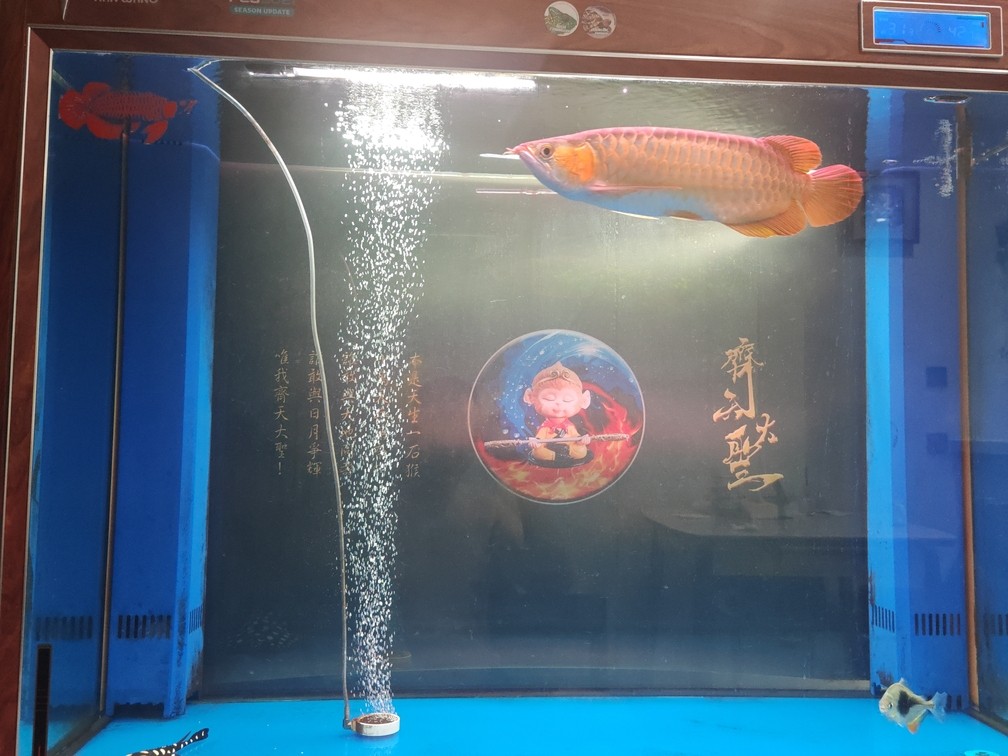 胖胖的油條入缸了
