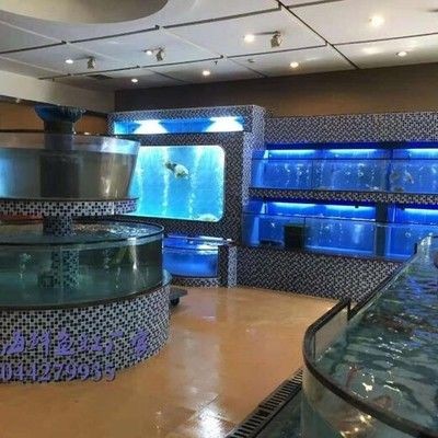 龍魚傷口感染多久會死亡，龍魚傷口感染后還能活多久， 龍魚傷口感染多久會死亡，龍魚傷口感染后還能活多久， 龍魚百科 第1張