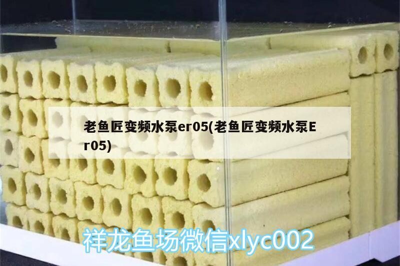 老魚匠變頻水泵er05(老魚匠變頻水泵Er05)