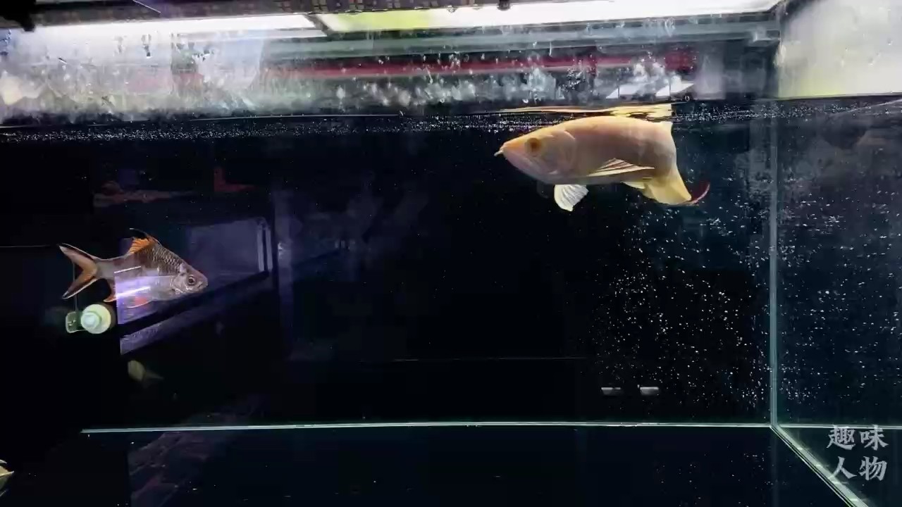 人生沒有只升不降的波浪