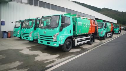 改善水質最強的水生植物：改善水質最強的水生植物排名