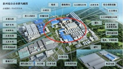 防城港龍魚vs祥龍魚場（探討防城港龍魚與祥龍魚場之間的差異之前需要明確兩者所代表的不同領域）