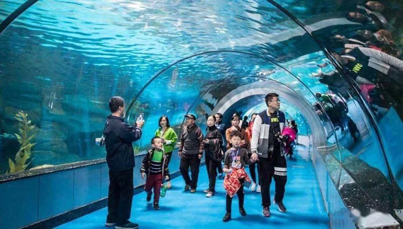 開封水族館vs祥龍魚場（開封水族館和祥龍魚場有什么關(guān)系，開封水族館和祥龍魚場有關(guān)）