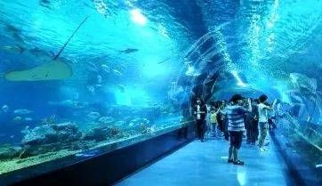 開封水族館vs祥龍魚場（開封水族館和祥龍魚場有什么關(guān)系，開封水族館和祥龍魚場有關(guān)）
