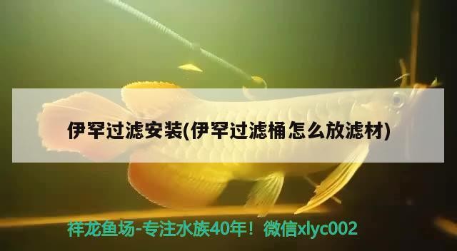 伊罕過濾安裝(伊罕過濾桶怎么放濾材)