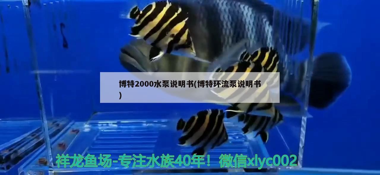 博特2000水泵說明書(博特環流泵說明書)