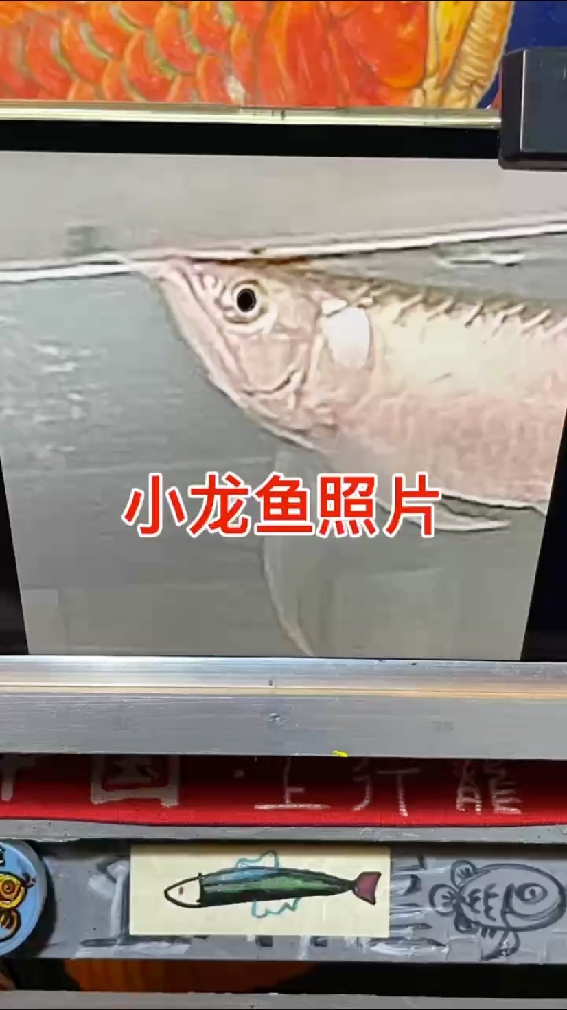 為愛魚畫一幅專屬油畫