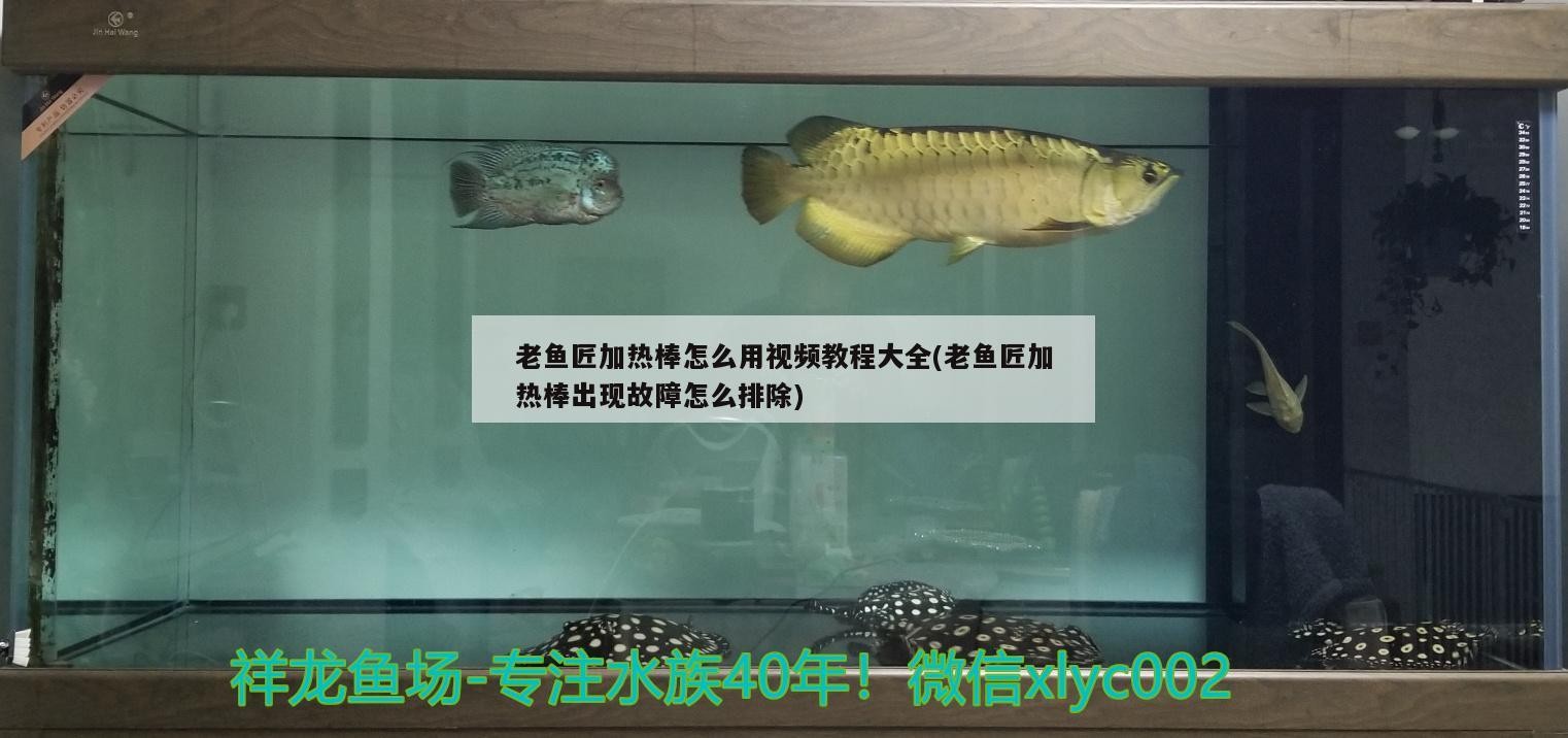 龍魚怕什么 老魚匠加熱棒怎么用視頻教程大全(老魚匠加熱棒出現故障怎么排除) 老魚匠 老魚匠加熱棒怎么用視頻教程大全(老魚匠加熱棒出現故障怎么排除) 老魚匠加熱棒怎么用視頻教程大全(老魚匠加熱棒出現故障怎么排除) 老魚匠
