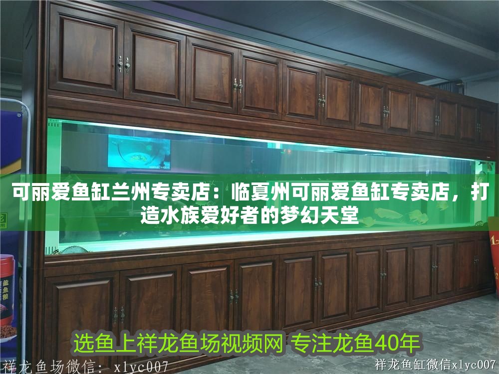 可麗愛魚缸蘭州專賣店：臨夏州可麗愛魚缸專賣店，打造水族愛好者的夢幻天堂