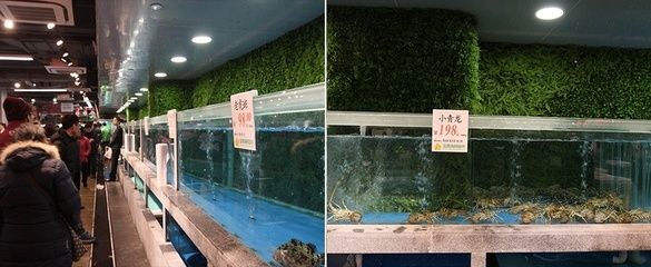 銅川水族館vs祥龍魚場（銅川水族館和祥龍魚場）