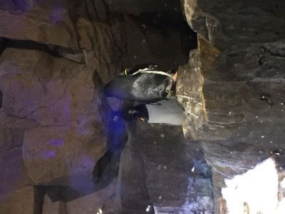 銅川水族館vs祥龍魚場（銅川水族館和祥龍魚場）
