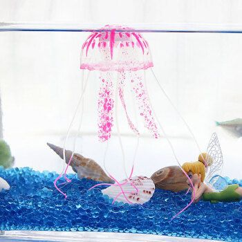 60魚缸造景多少錢：60魚缸造景價格受到多種因素影響，