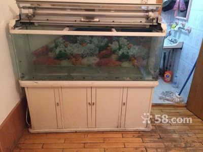 4米超大魚缸制作：制作一個(gè)4米長(zhǎng)的超大魚缸是一個(gè)需要精心策劃和精細(xì)工作的項(xiàng)目