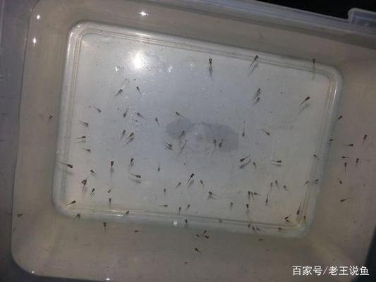 風景微信頭像大全圖片：風景微信頭像大全圖片風水好的