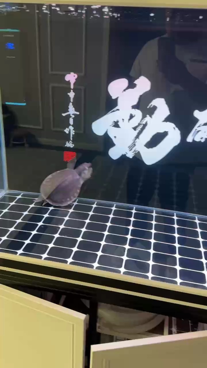 9月22號