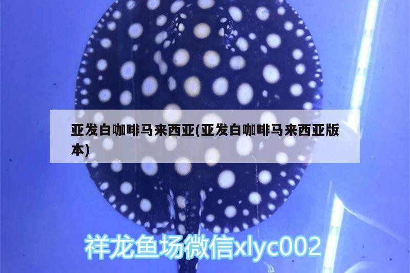 亞發白咖啡馬來西亞(亞發白咖啡馬來西亞版本)