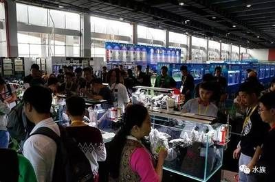 2024年水族展會時間及地點(diǎn)介紹：2024年水族展會時間、地點(diǎn)、地點(diǎn)、地點(diǎn)、參展介紹