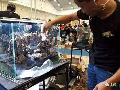 2024年水族展會時間及地點(diǎn)介紹：2024年水族展會時間、地點(diǎn)、地點(diǎn)、地點(diǎn)、參展介紹