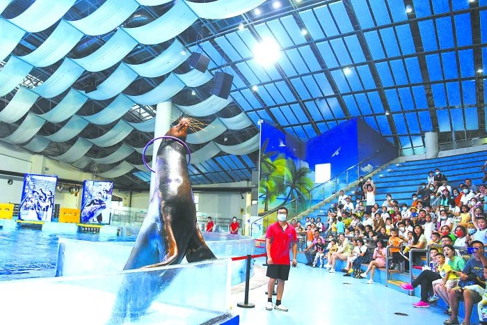 如何判斷龍魚嘴起泡是否嚴重？，如何判斷龍魚嘴起泡是否嚴重