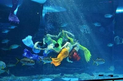 毫州水族館vs祥龍魚場（毫州水族館與祥龍魚場之前，我們需要明確的具體信息）