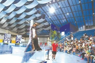 毫州水族館vs祥龍魚場（毫州水族館與祥龍魚場之前，我們需要明確的具體信息）