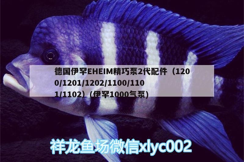 德國(guó)伊罕EHEIM精巧泵2代配件（1200/1201/1202/1100/1101/1102）(伊罕1000氣泵)