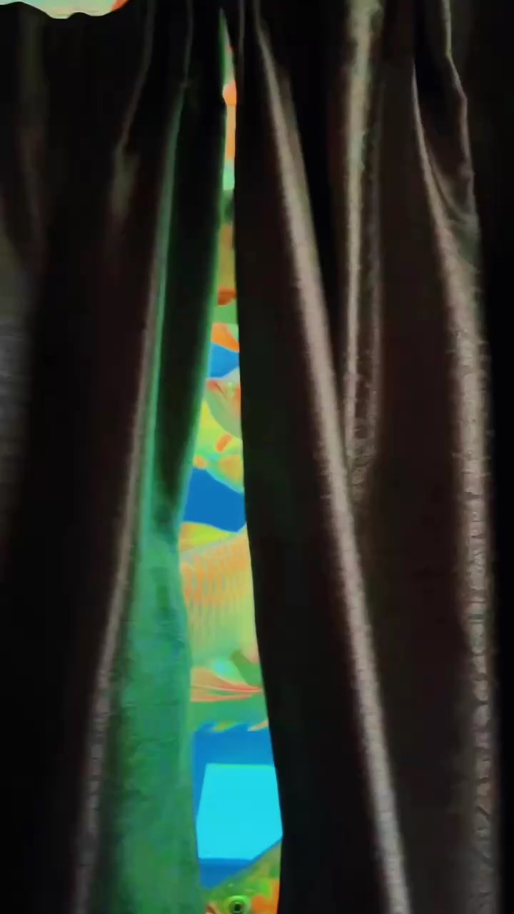 窗簾拉開真的很震撼 窗簾拉開真的很震撼 龍魚論壇 第1張